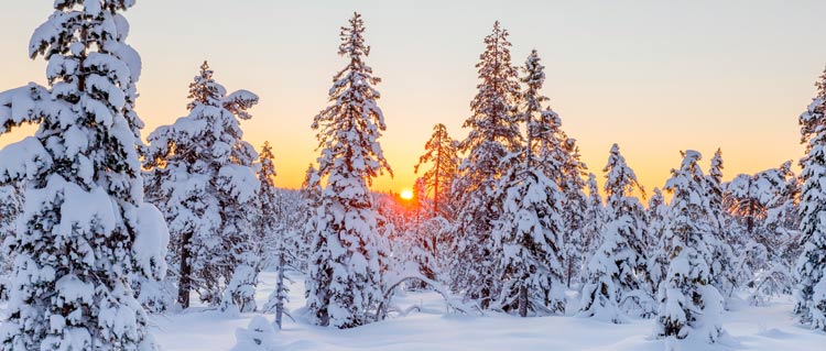 Celozávodní dovolená